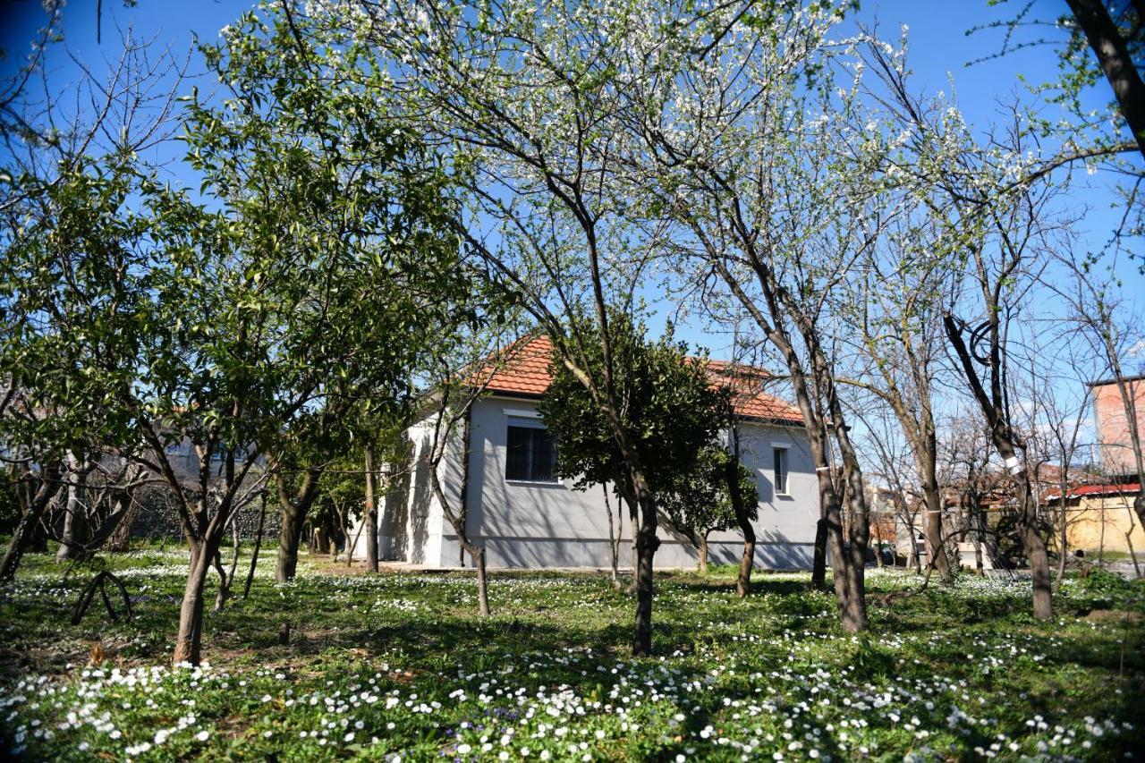 Nicolaus Hidden Gem Villa Shkoder Luaran gambar