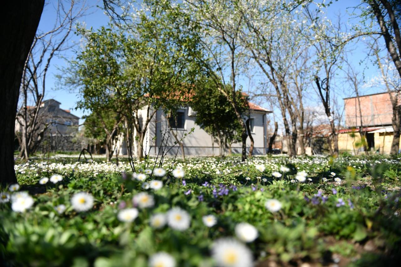 Nicolaus Hidden Gem Villa Shkoder Luaran gambar