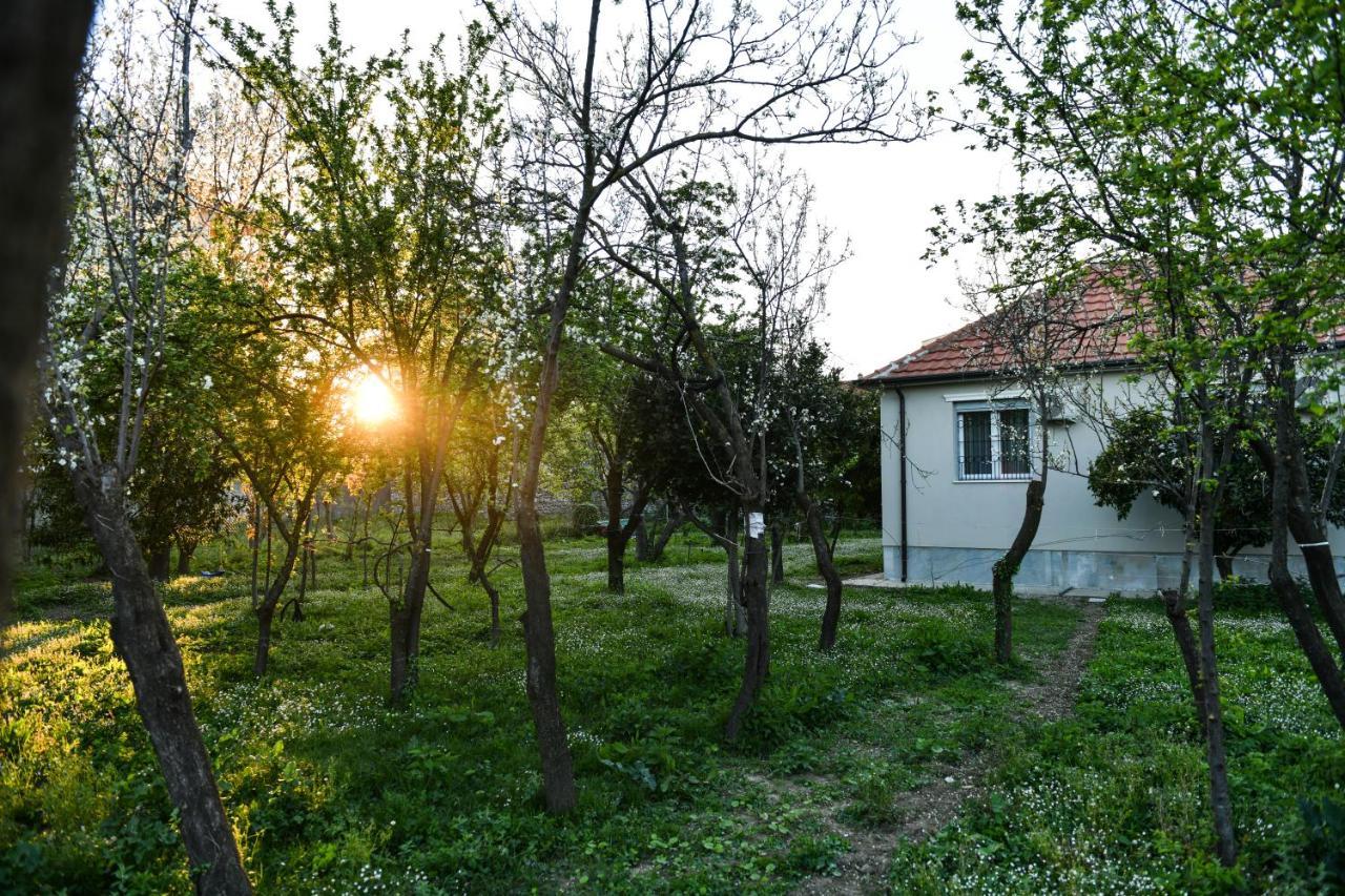 Nicolaus Hidden Gem Villa Shkoder Luaran gambar