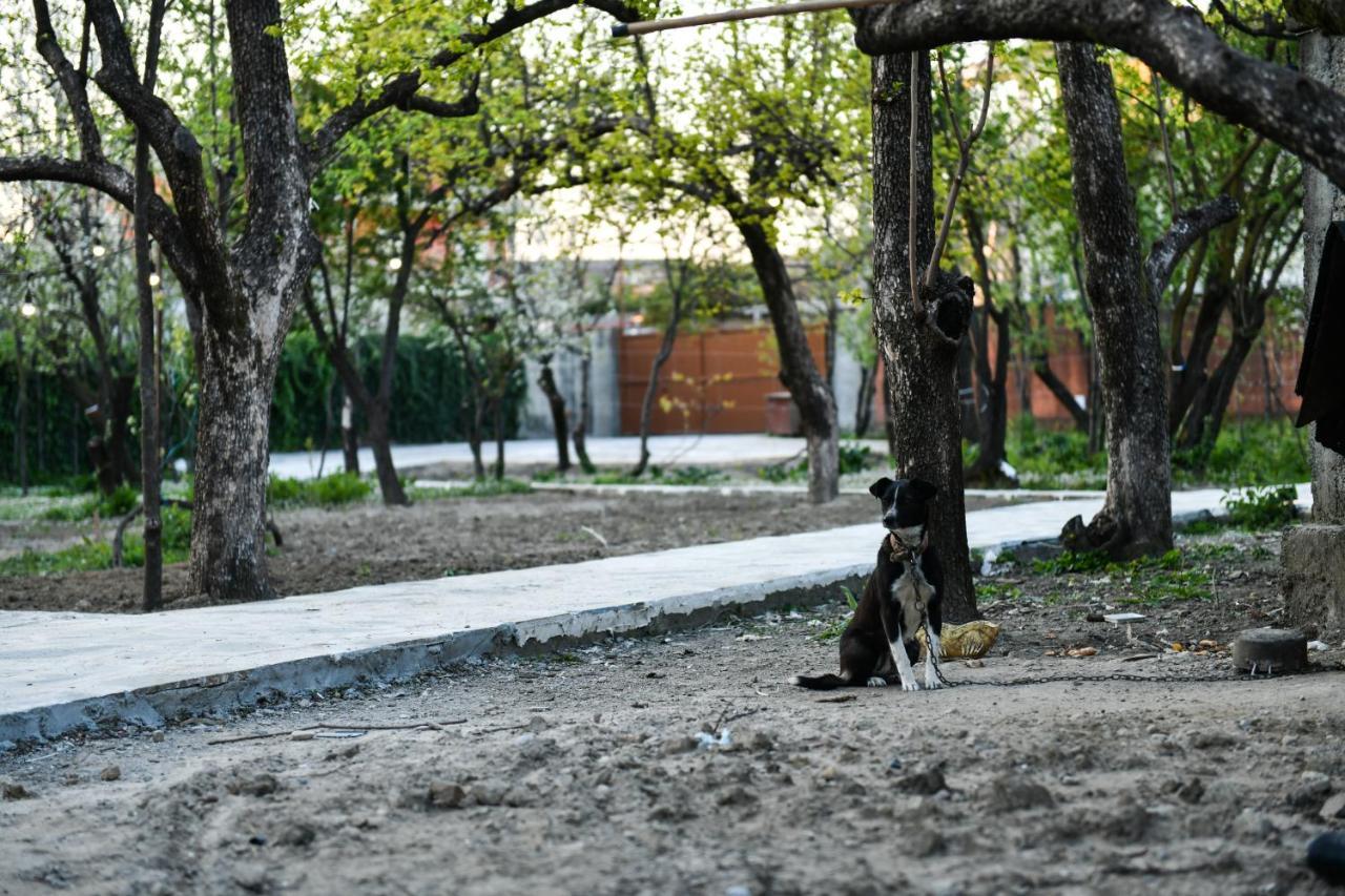Nicolaus Hidden Gem Villa Shkoder Luaran gambar