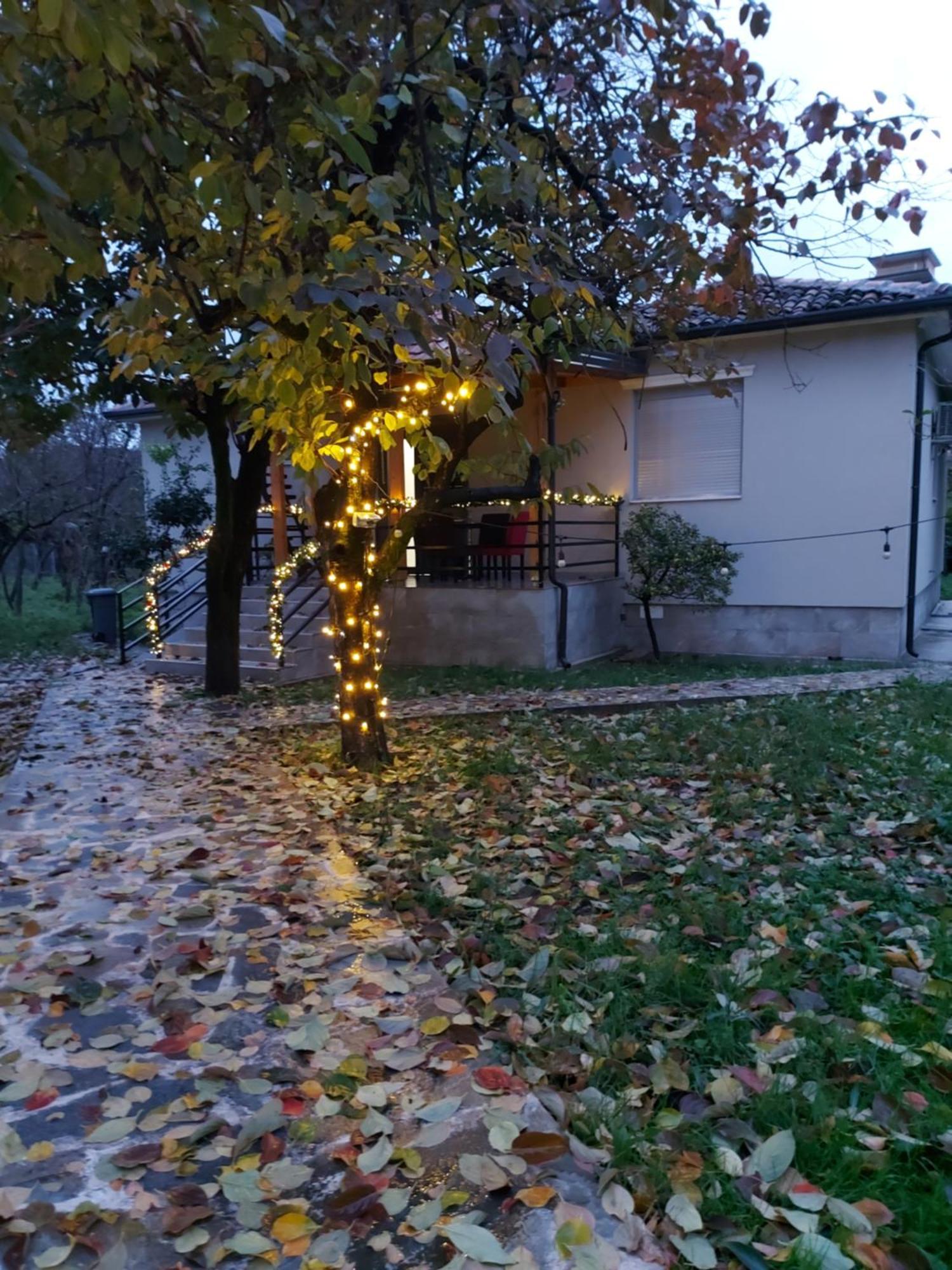 Nicolaus Hidden Gem Villa Shkoder Luaran gambar