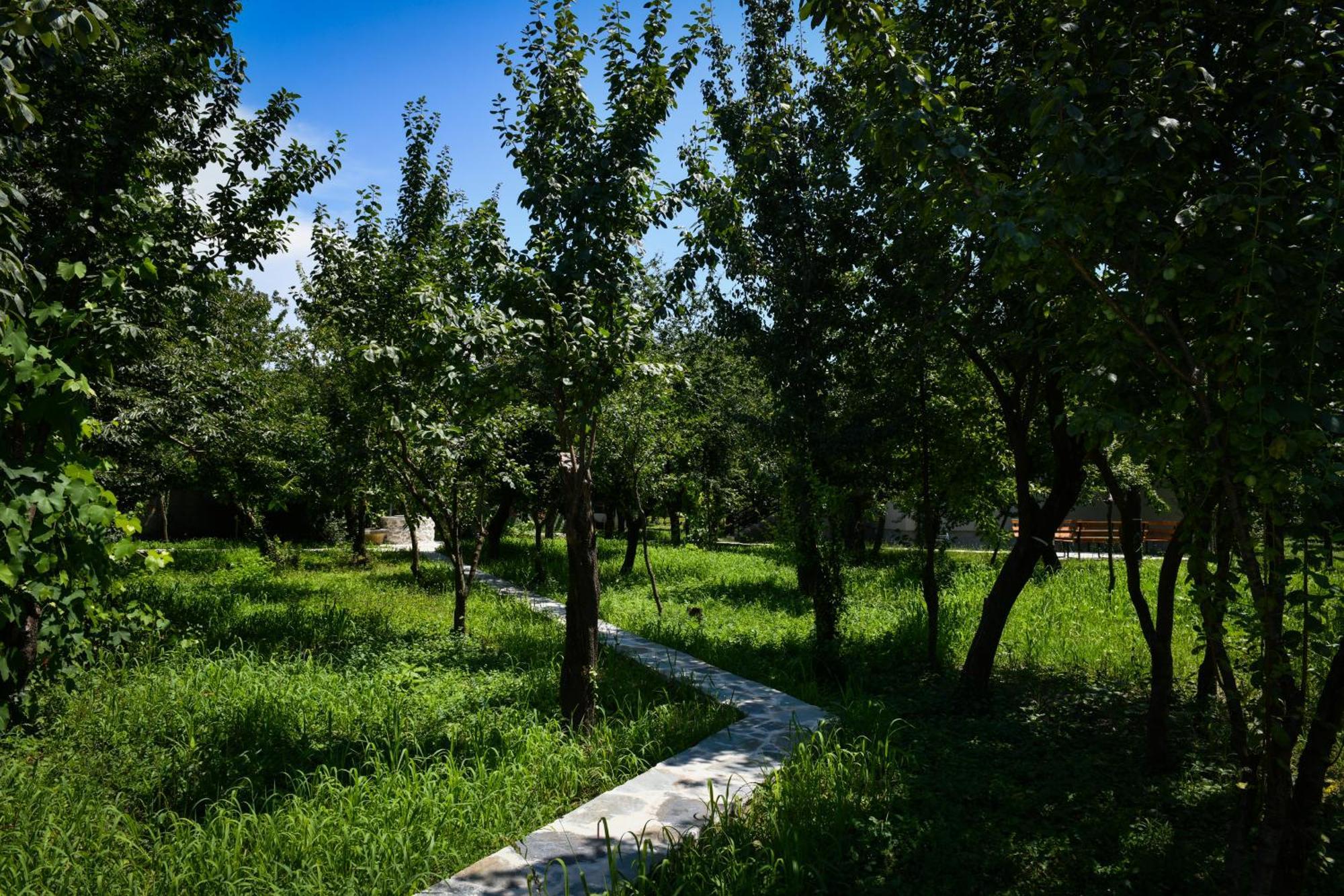 Nicolaus Hidden Gem Villa Shkoder Luaran gambar